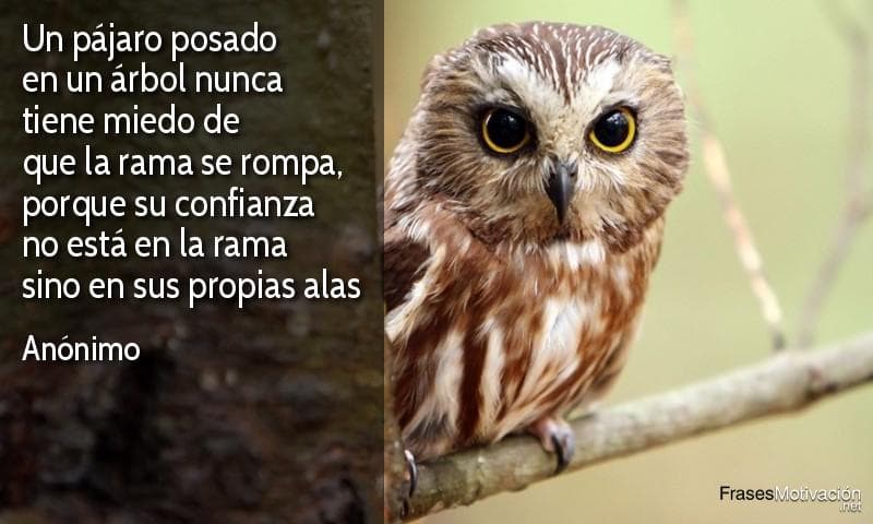 Un pájaro posado en un árbol nunca tiene miedo de que la rama se rompa, porque su confianza no está en la rama sino en sus propias alas - Anónimo