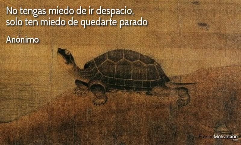 No tengas miedo de ir despacio, solo ten miedo de quedarte parado - Anónimo