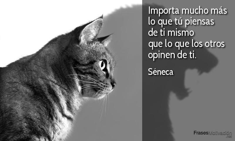 Importa mucho más lo que tú piensas de ti mismo que lo que los otros opinen de ti. - Séneca