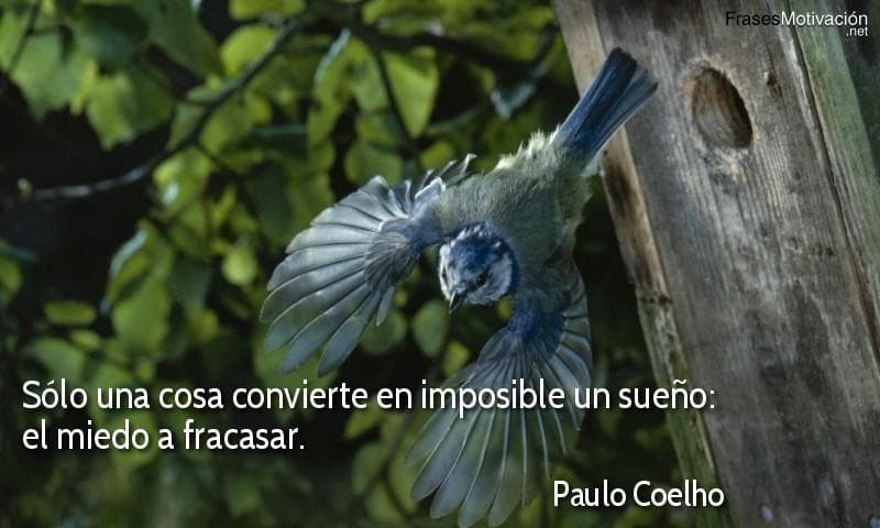 Sólo una cosa convierte en imposible un sueño: el miedo a fracasar. - Paulo Coelho